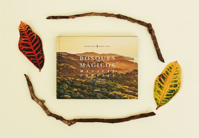 廣州企業(yè)畫冊宣傳冊印刷制作 廣州企業(yè)畫冊用什么印刷