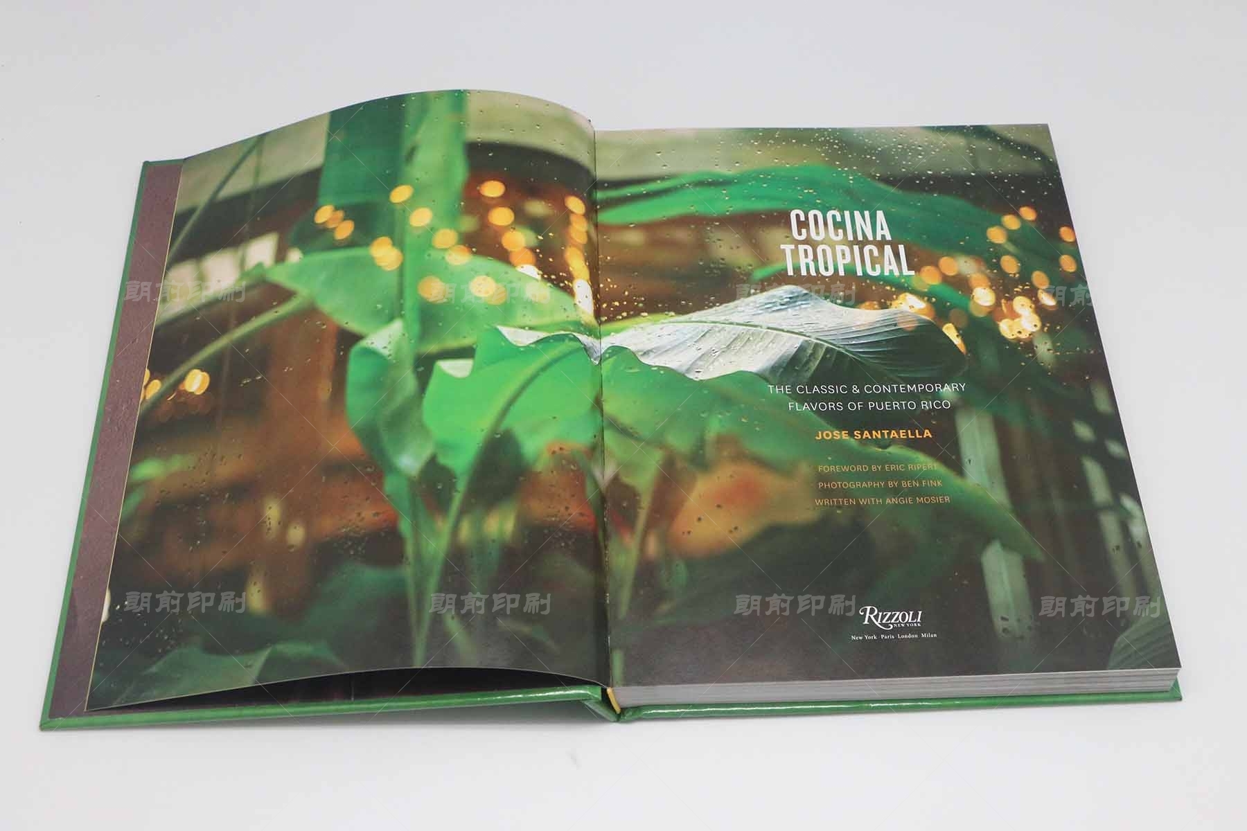 廣州廣告印刷畫冊設計 廣州樣本畫冊印刷企業