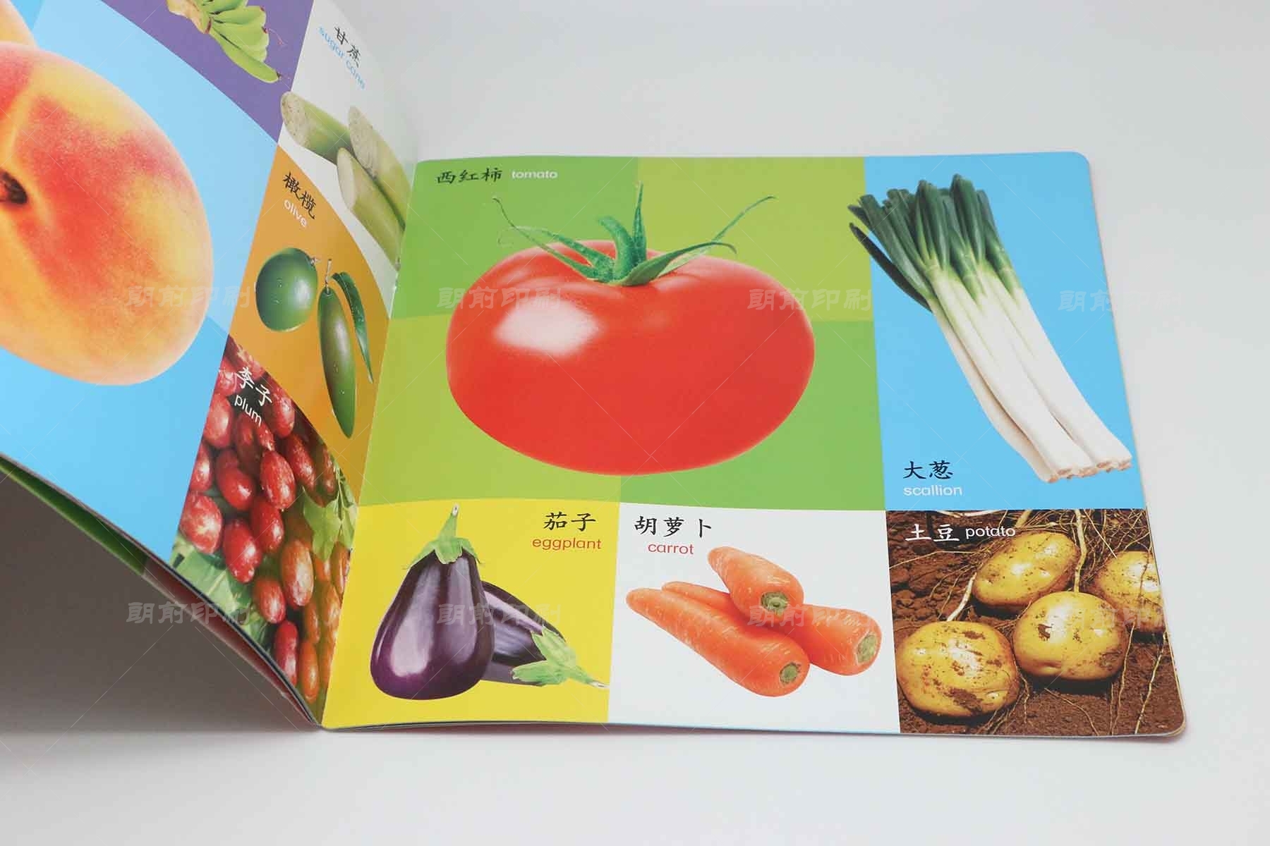 廣州印刷品報(bào)價(jià) 廣州畫冊(cè)印刷