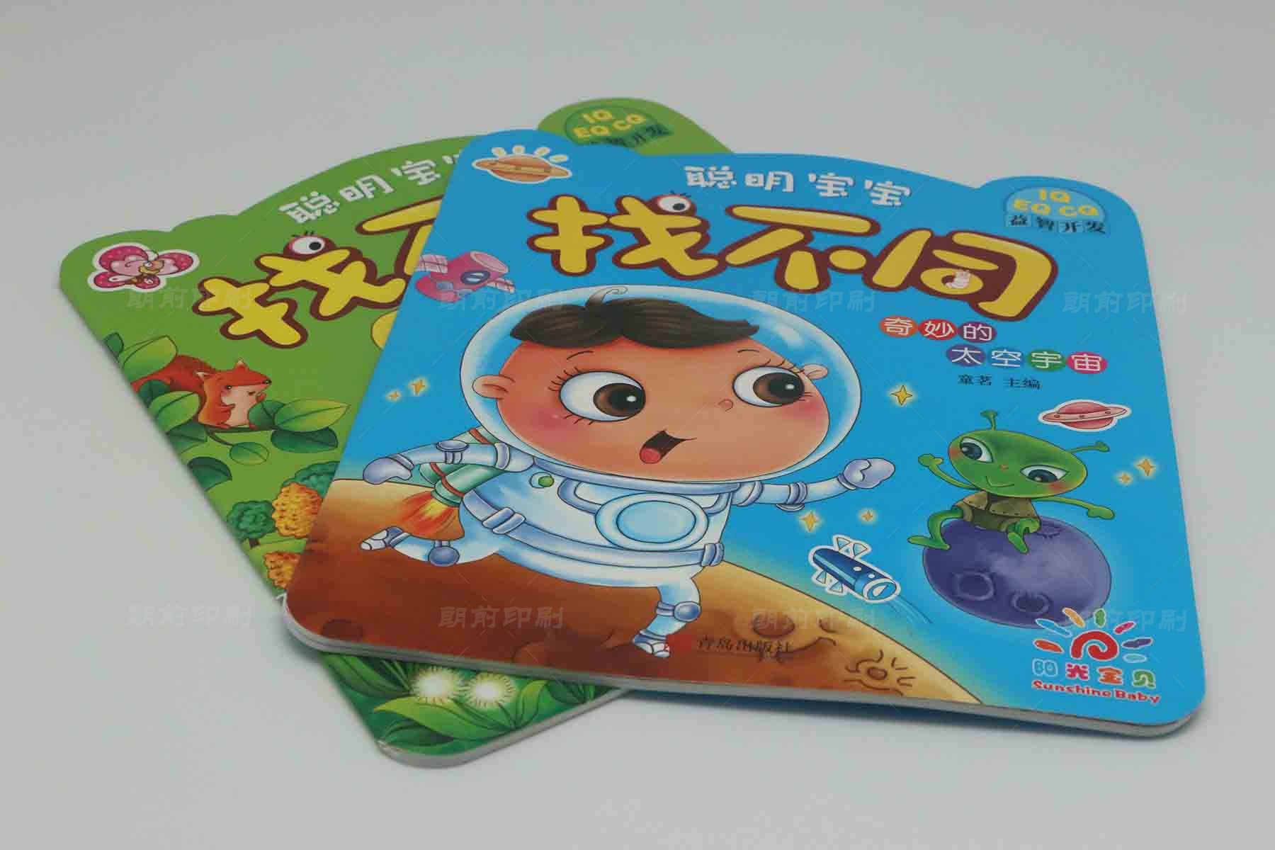 廣州樣本畫(huà)冊(cè)印刷價(jià)格 廣州精品畫(huà)冊(cè)設(shè)計(jì)制作