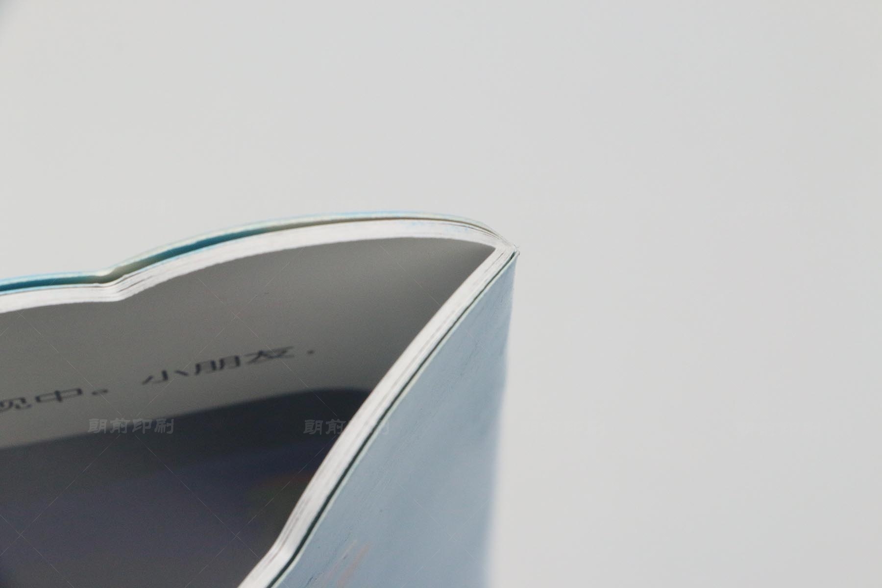 廣州誰(shuí)家做產(chǎn)品畫冊(cè)印刷 廣州公司畫冊(cè)設(shè)計(jì)印刷哪家好