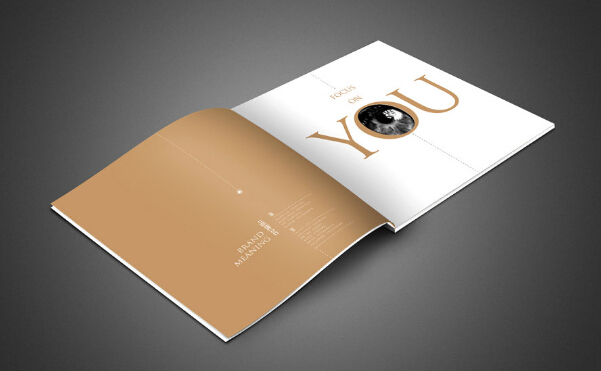 廣州企業(yè)畫(huà)冊(cè)印刷價(jià) 廣州包裝畫(huà)冊(cè)設(shè)計(jì)制作