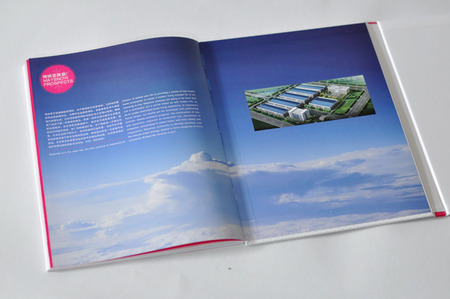 免費(fèi)提供廣州畫冊報價、畫冊印刷價格-長城印刷